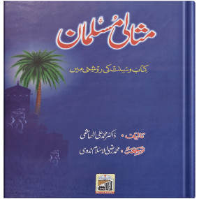 Lazy-loaded Misali Musalman